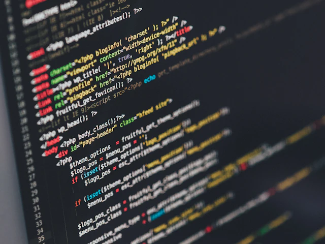 Program code on a computer monitor